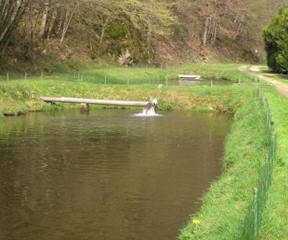 Bassin de pisciculture en ext&eacute;rieur pour l&rsquo;&eacute;levage de truites en eau douce