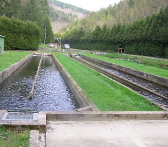 Bassins de pisciculture en plein air pour l&rsquo;&eacute;levage de truites en eau courante